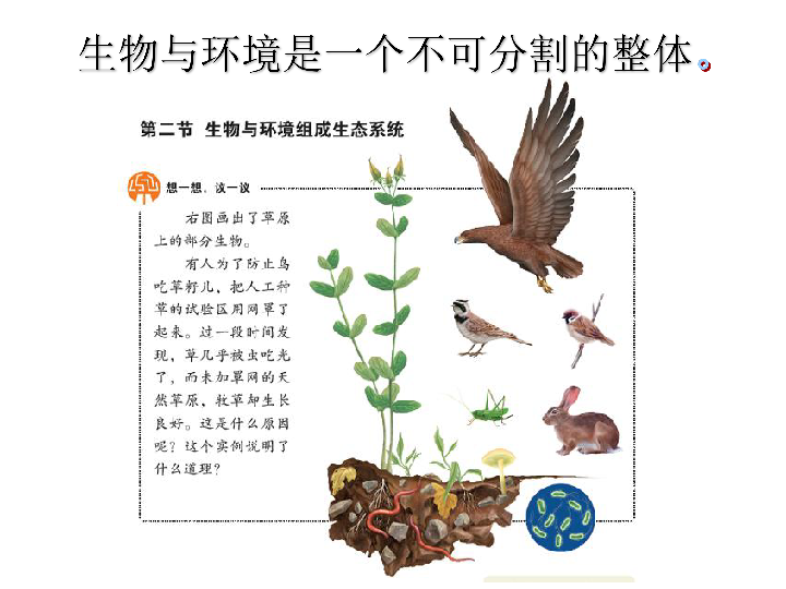 人教版七年级生物上册  1.2.2 生物与环境组成生态系统  课件（共31张PPT）