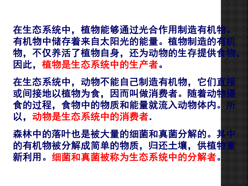 湘教版选修6第三章第一节《生态系统和生态平衡》课件