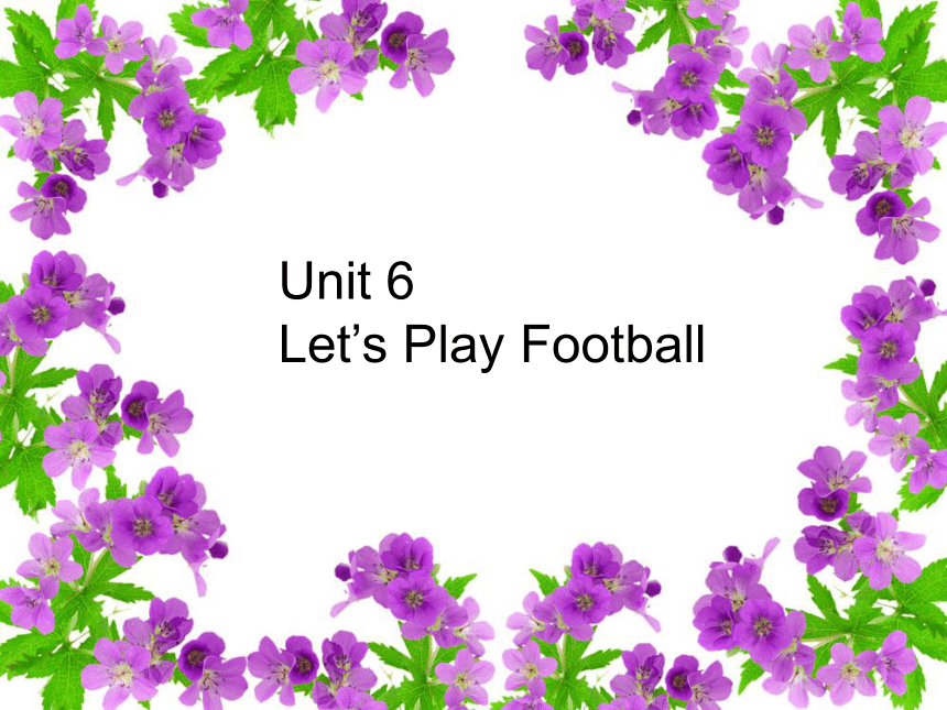 Unit 6 Let’s play football Lesson 2 课件