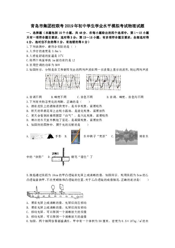 山东省青岛市集团校联考2019年初中学生学业水平模拟考试物理试题word