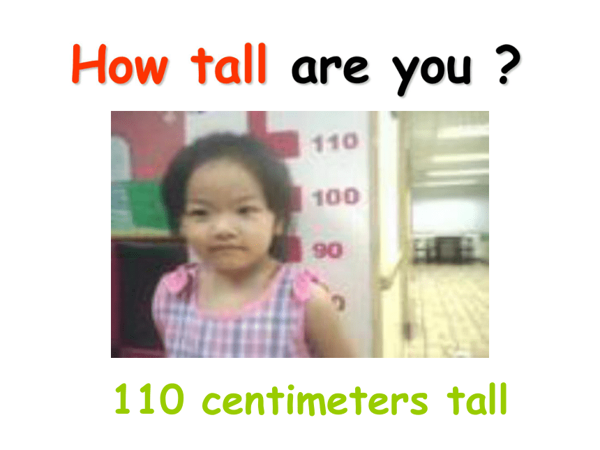 Unit 6 How tall are you? 课件