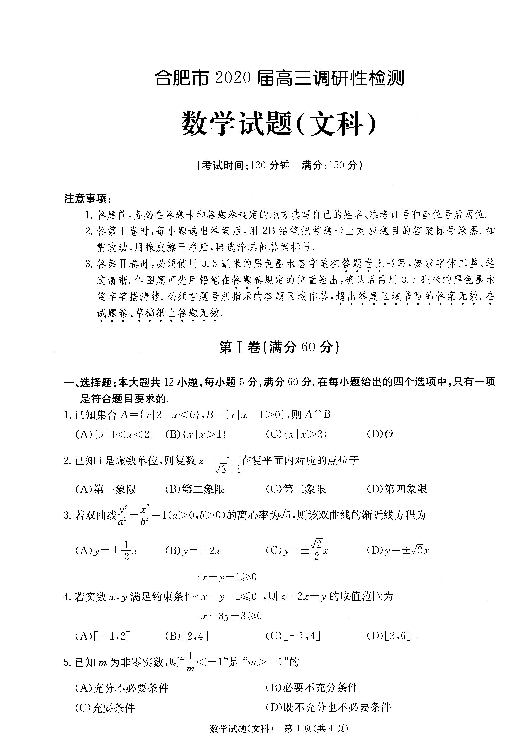 安徽省合肥市2020届高三上学期调研性检测（零模）数学（文）试题 扫描版含答案