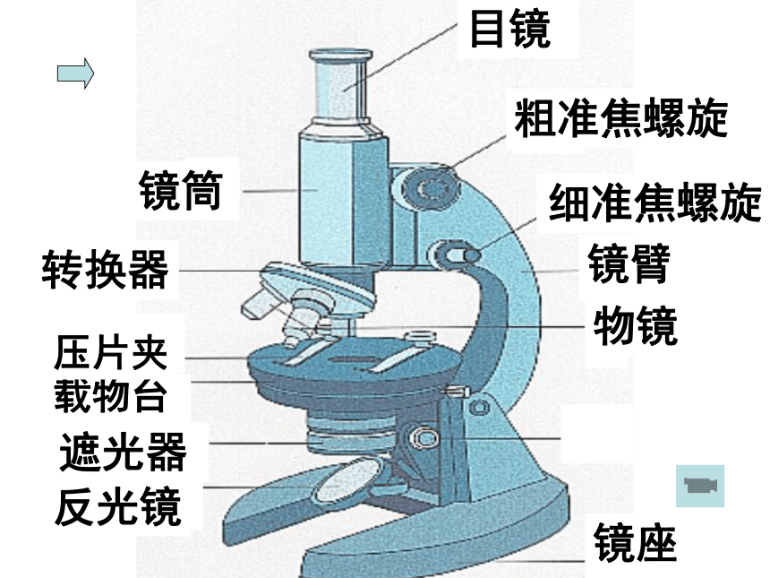 细胞的多样性和统一性(山东省荷泽地区菏泽市)