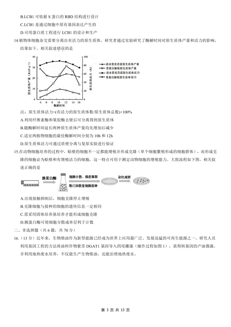 北京市朝阳区2021届高三上学期期中考试生物试题