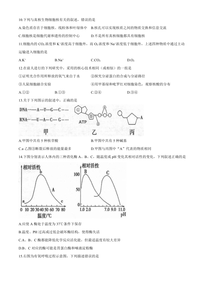 湖南省株洲市2019-2020学年高一下学期期中调研考试生物试题