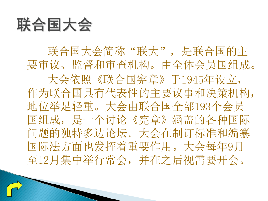 《我在联合国做报告》课件 (1)