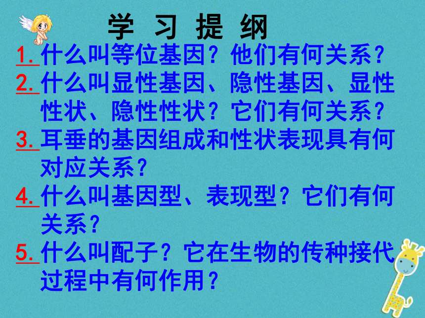 性状遗传有一定的规律性课件(31张）