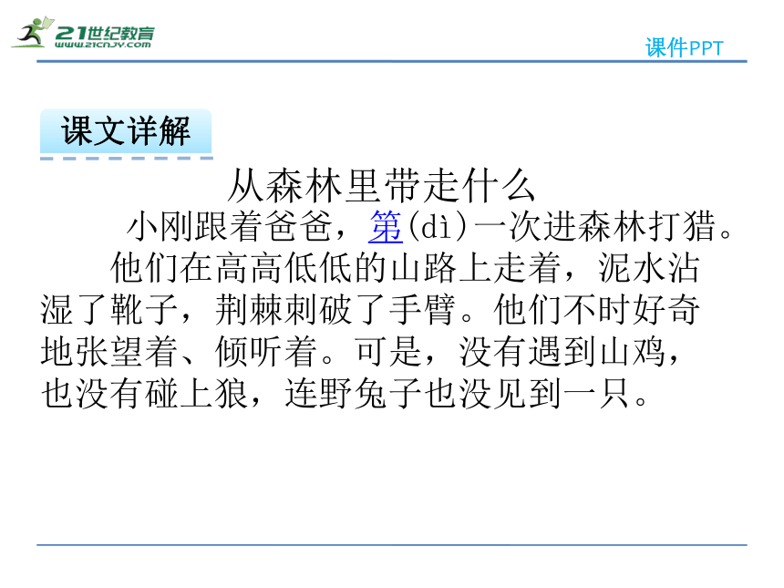 13从森林里带走什么 课件