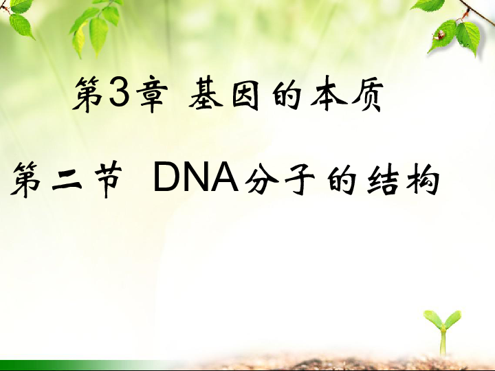 新人教版高中必修2生物3-2DNA分子的结构(共25张PPT)