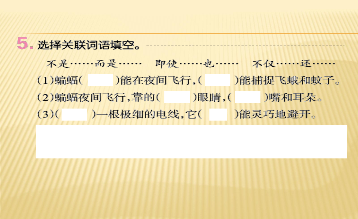 人教课标版四年级语文下册习题课件9 蝙蝠和雷达（11张PPT）