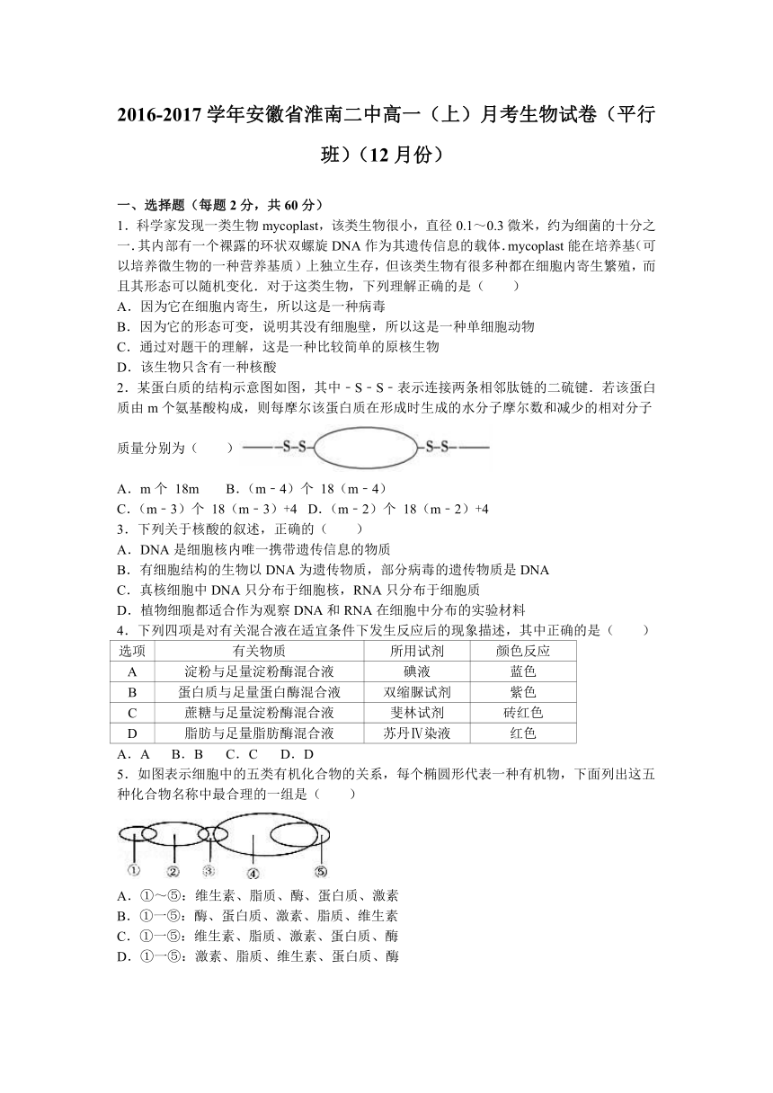 安徽省淮南二中2016-2017学年高一（上）月考生物试卷（平行班）（12月份）（解析版）