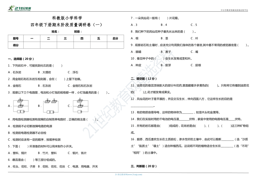 课件预览