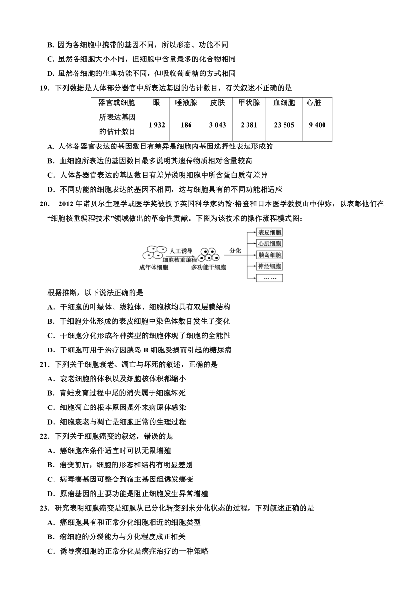 吉林省长春市第九教育联盟2017-2018学年高一下学期期初考试生物试题