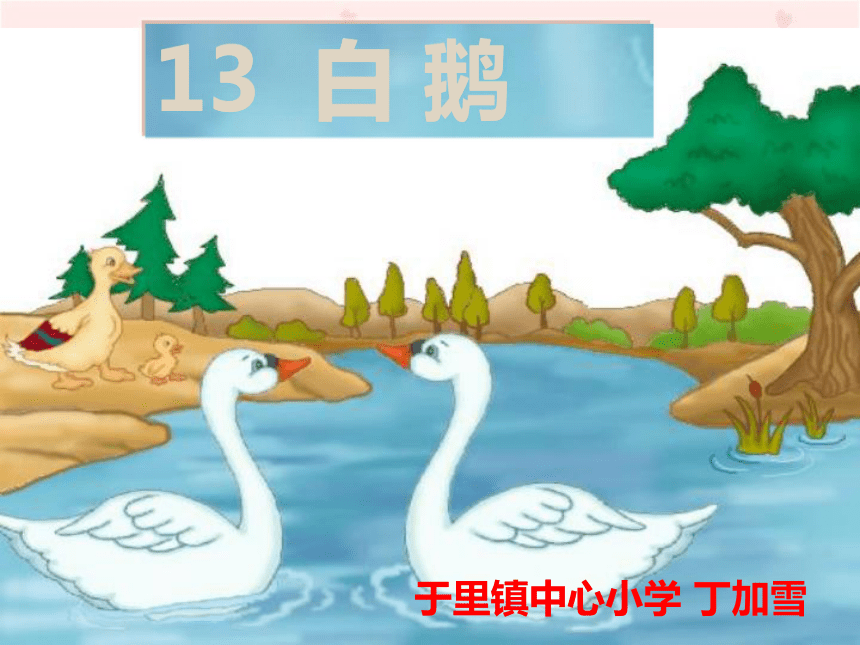 语文五年级上长春版7.2《白鹅》课件2