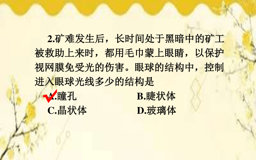 北師大版生物學七年級下冊第12章人體的自我調節第2課時耳和聽覺課件