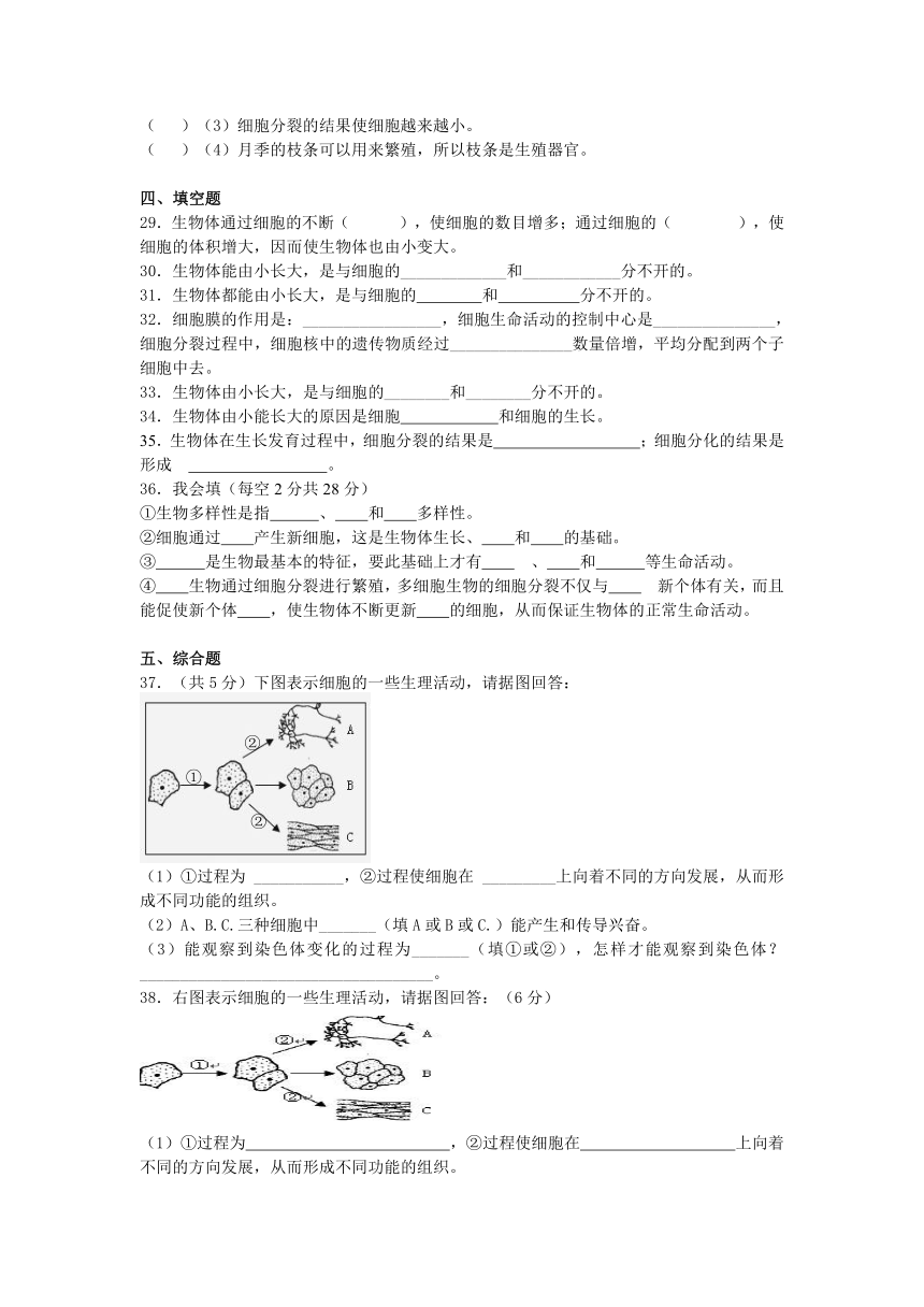 2013-2014学年度生物中考二轮复习专题卷--细胞通过分裂产生新细胞