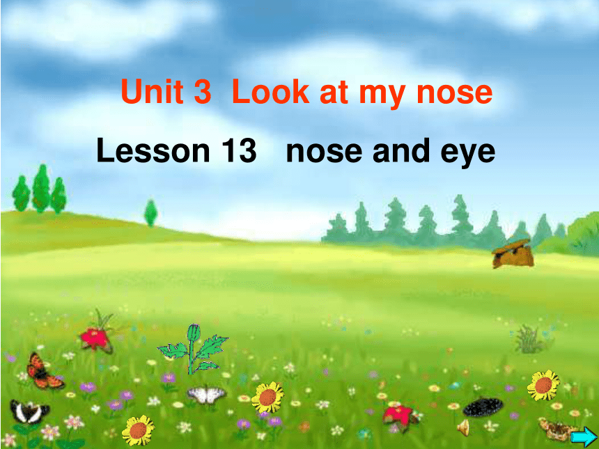 Unit 3 Look at my nose Lesson 13 课件