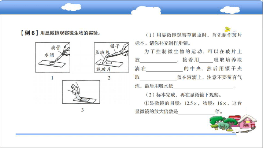 专题三  生物与环境和微小世界复习课件