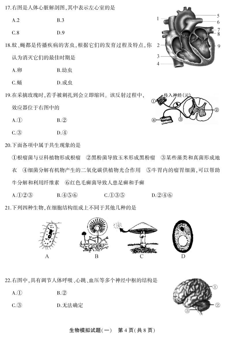 2021初中学生学业水平模拟考试生物试题  (一)（PDF版，有答案）