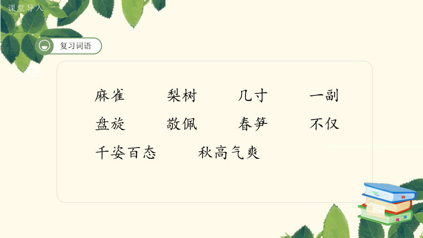 课件预览