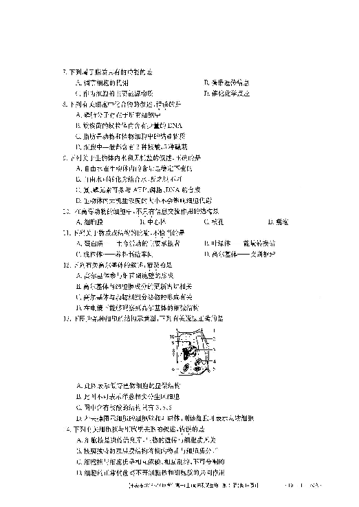 河北省邢台市2018-2019学年高一上学期期末考试生物试题 扫描版