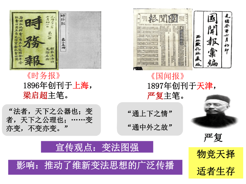 历史戊戌变法手抄报图片