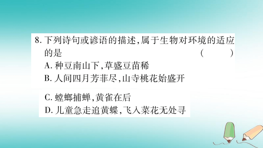 2018年七年级生物上册第1单元认识生命期末复习习题课件（27张PPT）