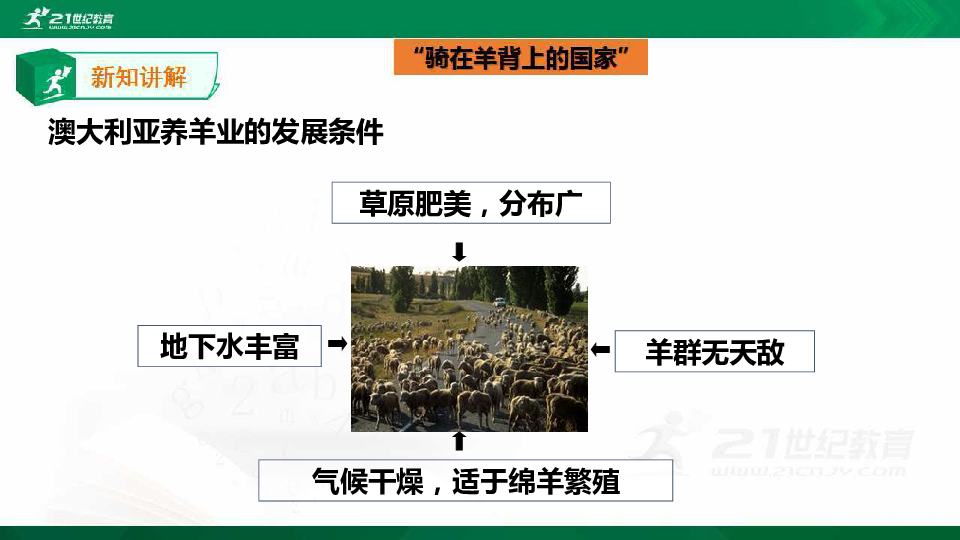 8.4《澳大利亚》第二课时（课件）