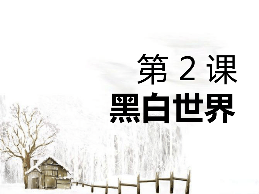 第2课《黑白世界》课件