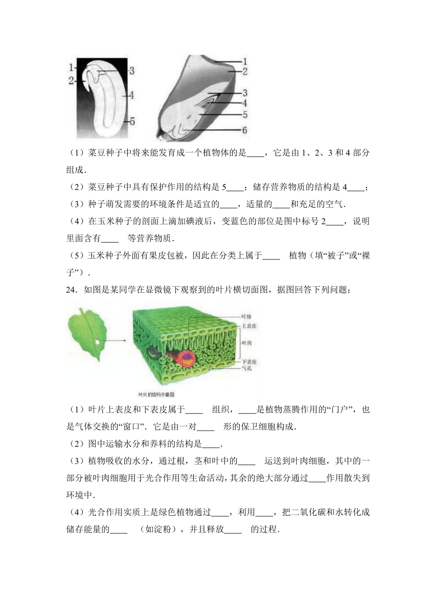 河南省信阳市罗山县2016-2017学年七年级（上）期末生物试卷（解析版）