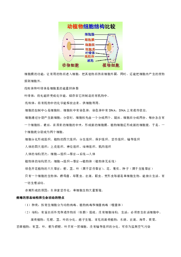 中考生物必背知识点七年级上册（人教版）