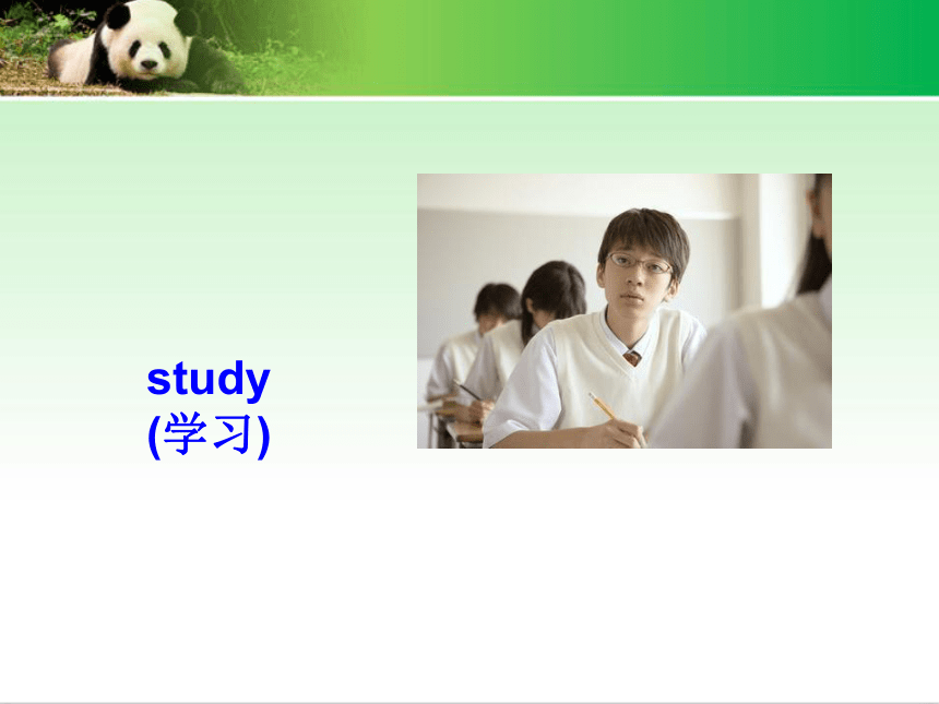 Unit 2 We’re going to do some research 课件