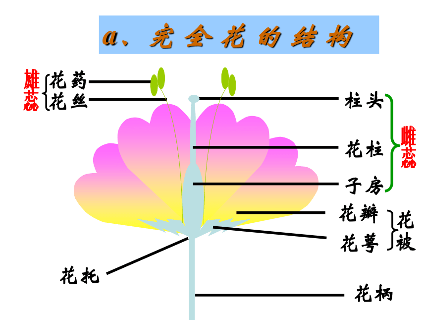 七单元 生物圈中生命的延续和发展（第一部分：1-2章） 复习课课件 (共69张PPT)