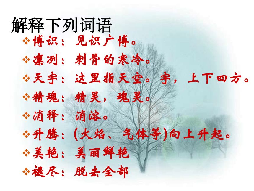 雪课件