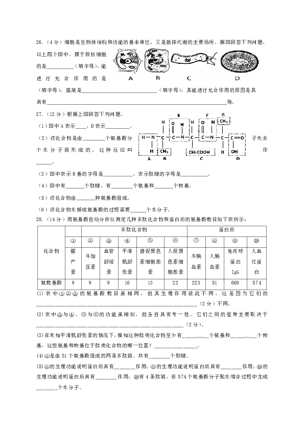 福建省福州第八中学2019-2020学年高一10月月考生物试题 PDF版