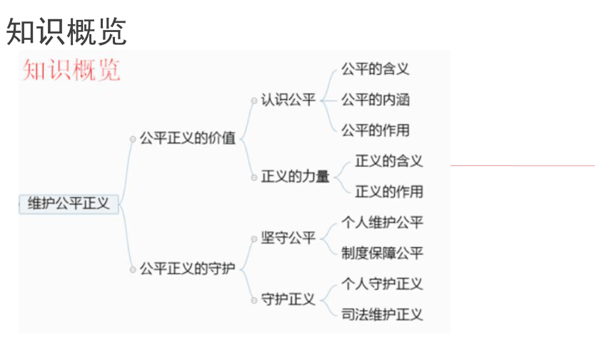 第八课维护公平正义教材习题解答课件（20张ppt）