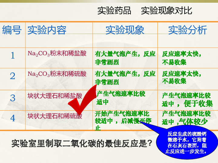 人教版（五四制）八年级全册化学  6.2 二氧化碳制取的研究 课件（共15张PPT）