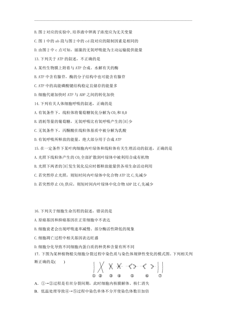 黑龙江省七台河市勃利县高中2021届高三上学期期中考试生物试题  含答案