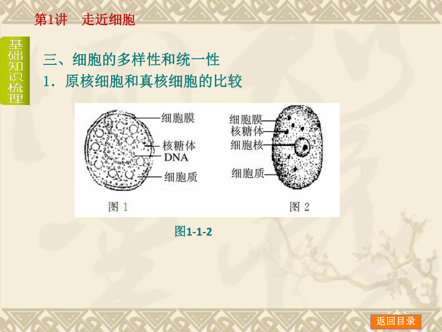 【新课标人教通用，一轮基础查漏补缺】第1讲　走近细胞 （44ppt）