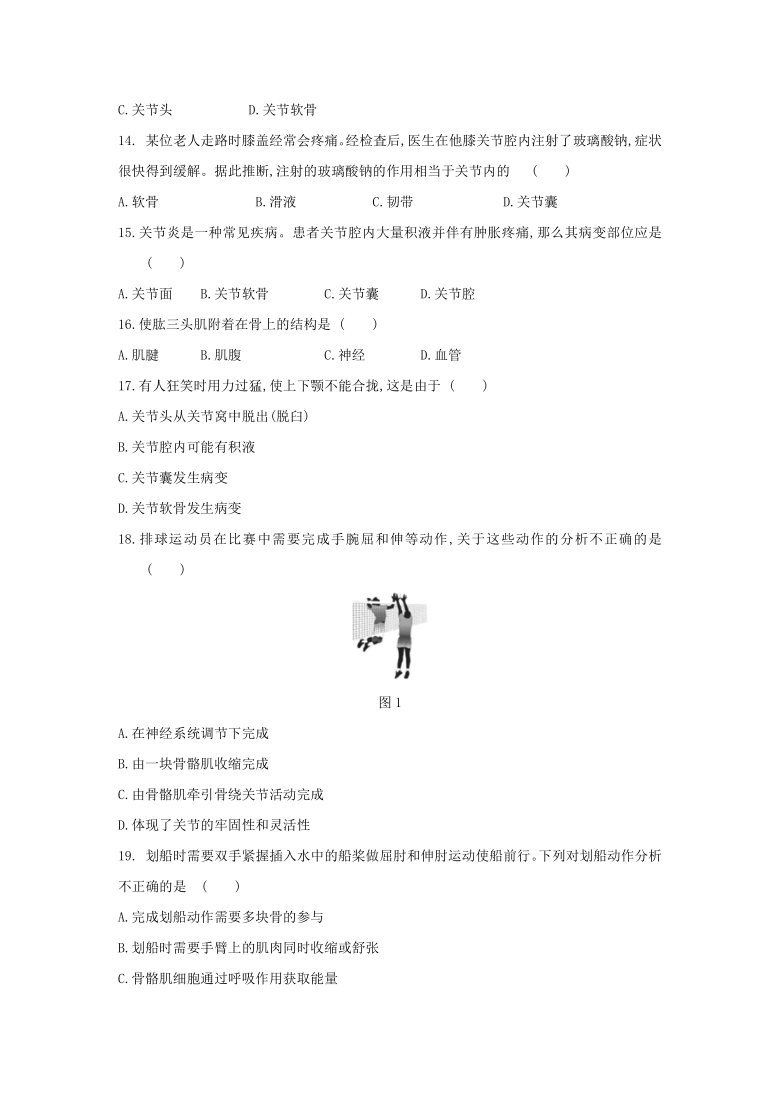 2021—2022学年北京版八年级生物上册第九章  动物的运动和行为  单元测试题（word版含解析）