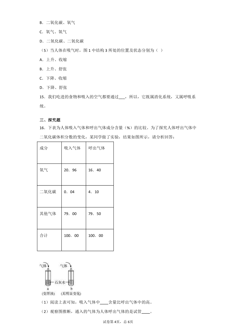 5.2人体的呼吸-华东师大版八年级科学上册同步检测