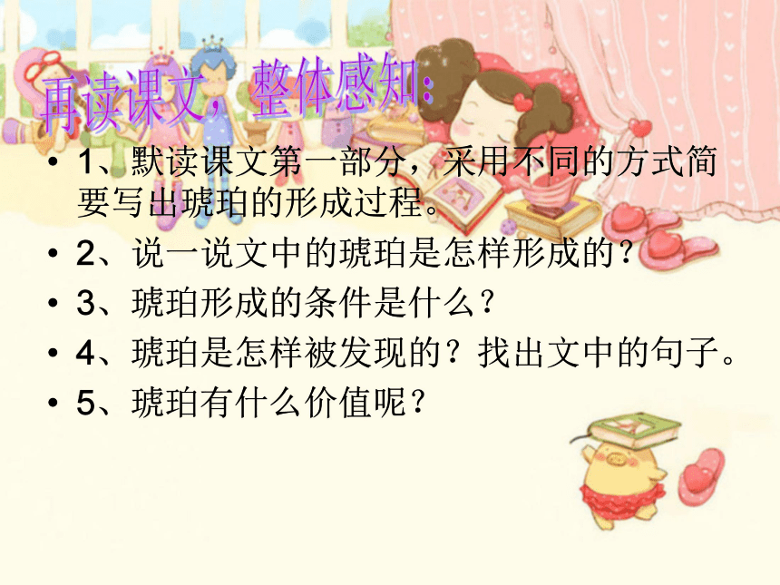 《奇异的琥珀》课件