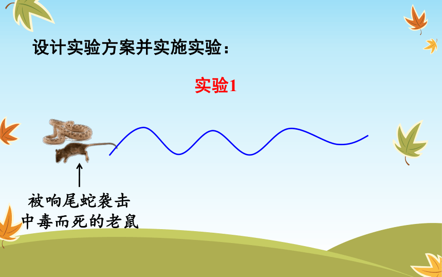 2.2生物学研究的基本方法课件（24张PPT）