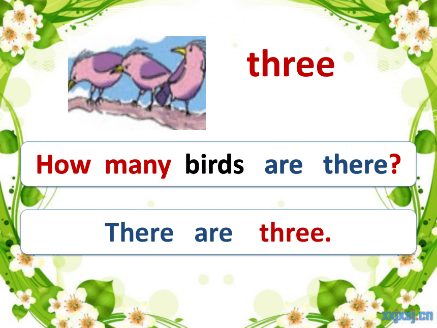 Lesson 1 How many birds are there？课件