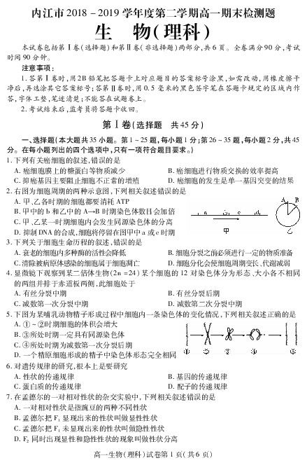 四川省内江市2018-2019学年高一下学期期末检测生物（理）试题 PDF版含答案