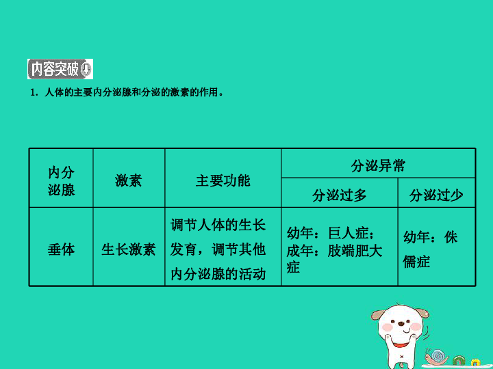 （东营专版）2019年中考生物专题五人体生命活动的调节复习课件（12张PPT）