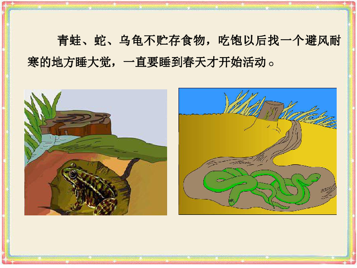 三年级上册科学课件-《动物过冬》课件2北京版(共13张PPT)