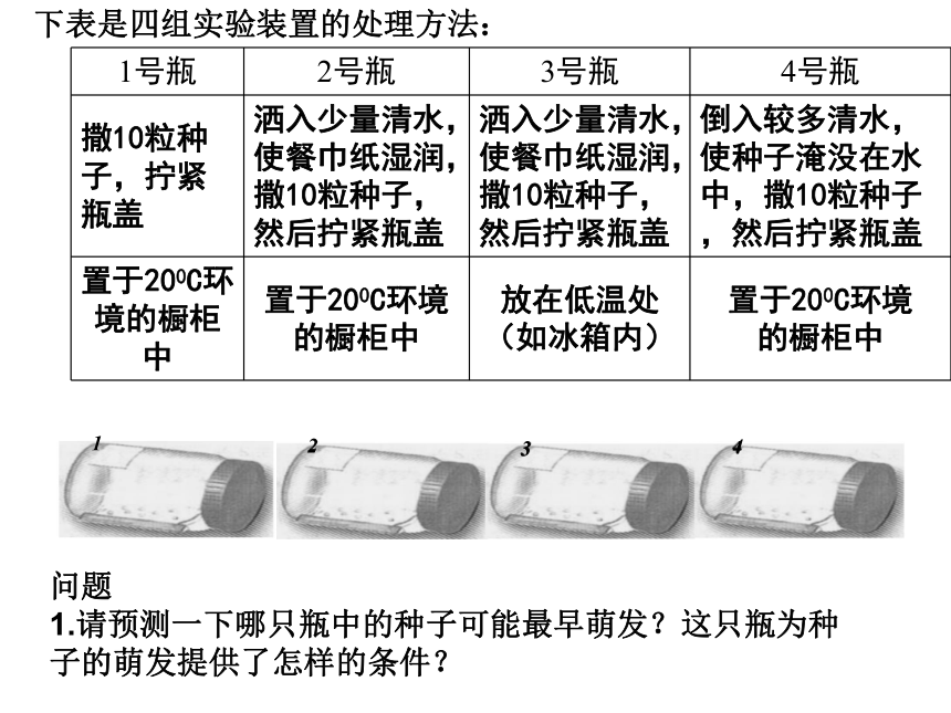 3.2.1种子的萌发 (共30张PPT)