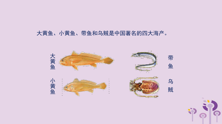 （新版）湘教版八年级地理上册第三章第四节中国的海洋资源课件(25张PPT)