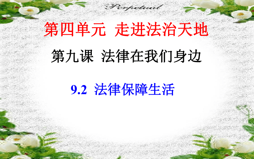 9.2法律保障生活课件（27张PPT）